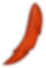 feather